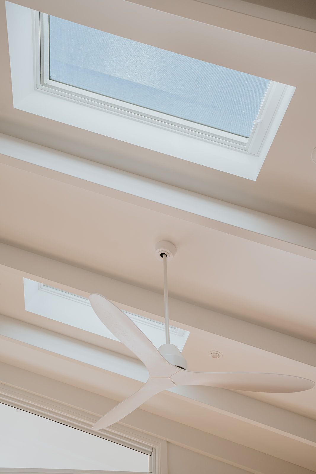 Raked ceilings with velux skylights and exposed rafters